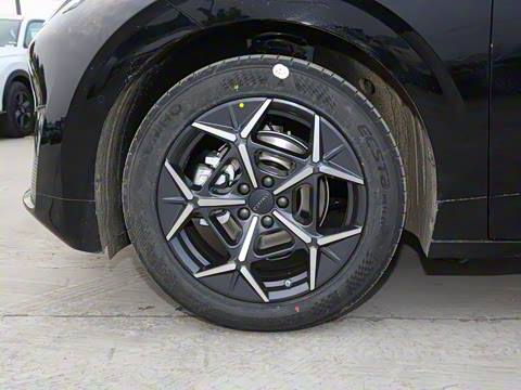 2025�� 530km ����Pro