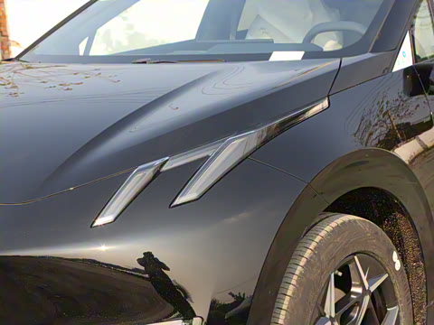 2025�� 530km ����Max