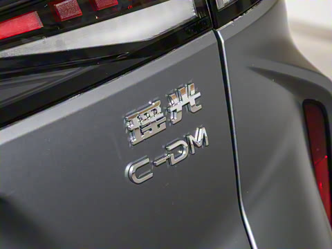 2025�� 100������Plus����