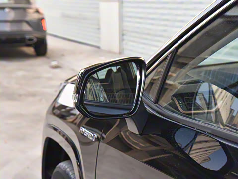 2024�� ˫�� 2.5L E-CVT��������PLUS��