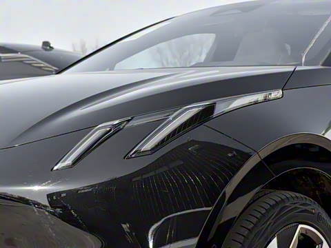 2025�� 530km ����Max���հ�