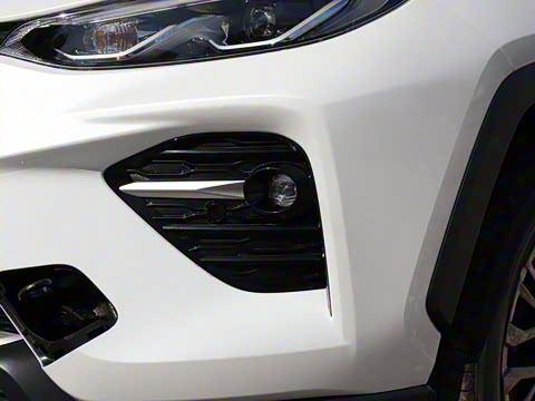 2024�� ˫�� 2.5L E-CVT��������