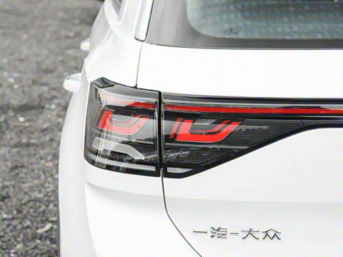 2025�� 300TSI DSG���������