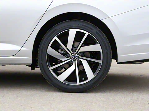 2025�� 300TSI DSG׿Խ��