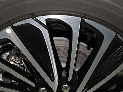 2025�� ½�� ������ 7��