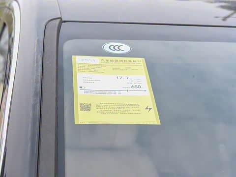 2025�� EV �������������