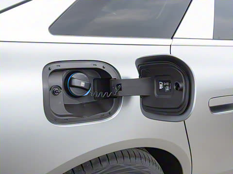 2025�� 260����������