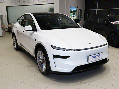 2025�� �������� �׷���