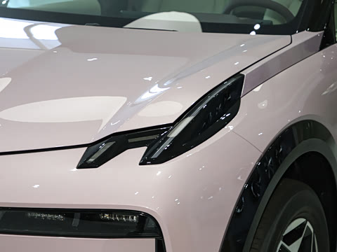 2025�� ����������