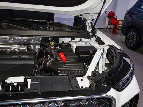 2025�� 290TGDI DCT������ 7��