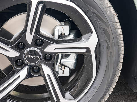 2025�� �Ǽݰ� 605���˰�