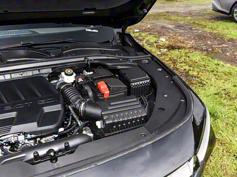 2025�� 2.0T �Զ���+