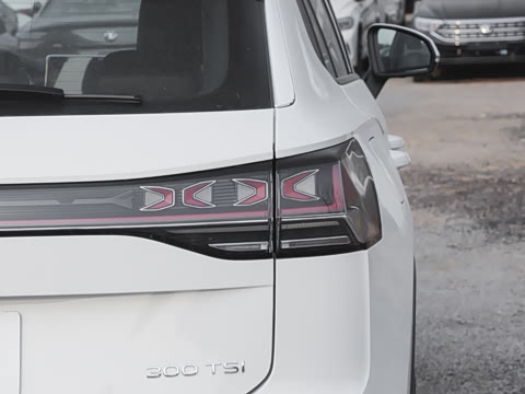 2025�� ������ 300TSI