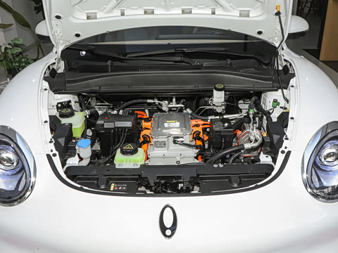 2024�� 501km ������