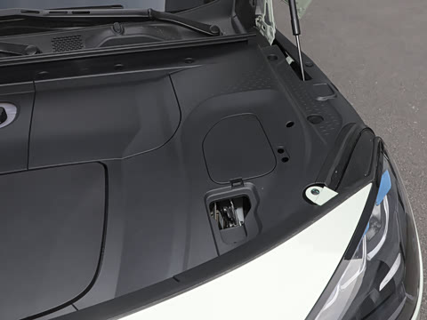 2026�� �鶯��������