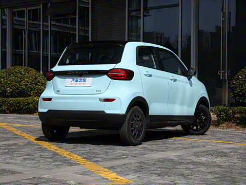 2025�� 310������