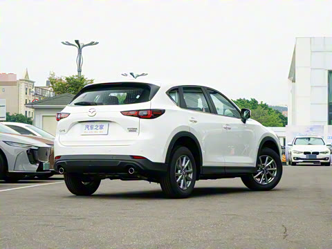 2025�� 2.0L �Զ�����������