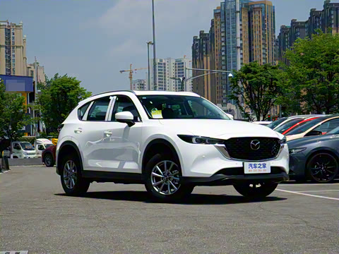 2025�� 2.0L �Զ���������Pro