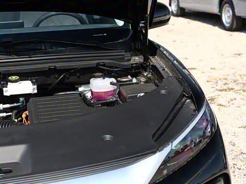 2025�� �ڶ��� DM-i 115KM��Խ��