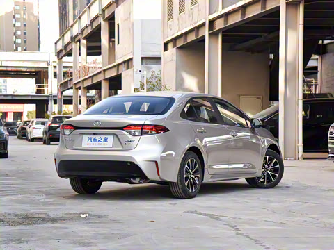 2024�� ���ܵ��˫�� 1.8L ������