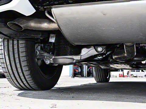 2026�� B5 ������Զ�˶���