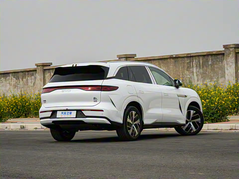 2025�� DM 200KM���������״��콢��