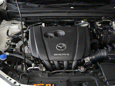 2024�� 2.0L �ֶ�������