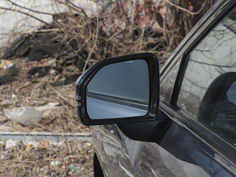 2025�� ���������� 650 ������