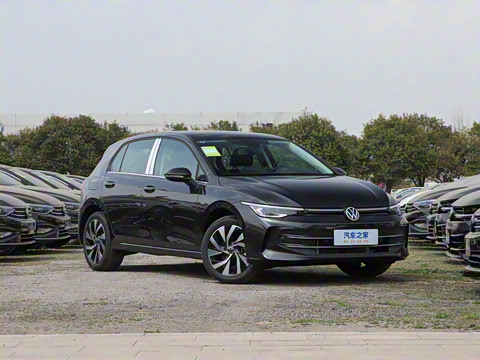 2025�� 300TSI Pro