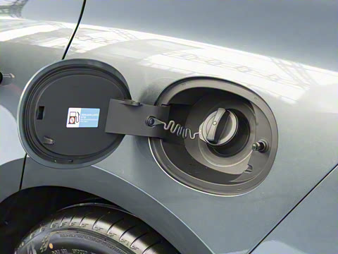 2025�� DM-p ���������״��콢��