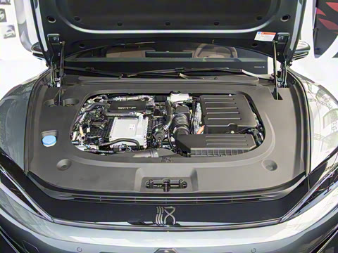 2025�� DM-p ���������״��콢��