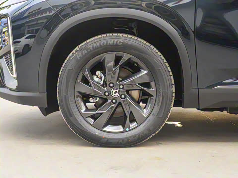 2025�� 518������