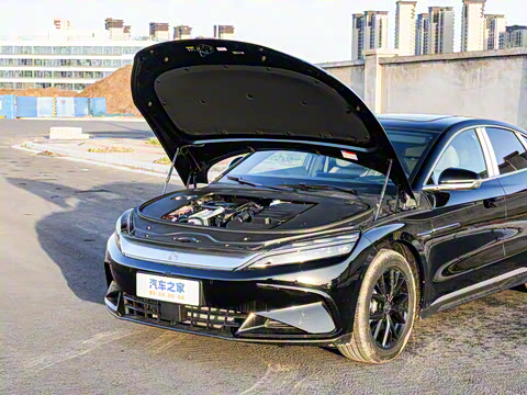 2025�� DM-i �Ǽݰ� 125KM��Ӣ��