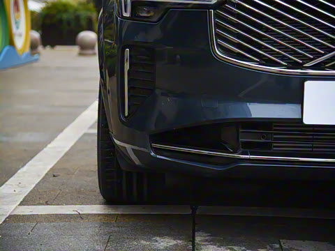 2025�� �Ŀ� T8 ��������� 7��