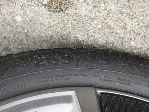 2025�� ����������Max