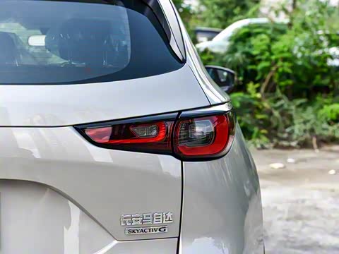 2025�� 2.0L �Զ���������Pro