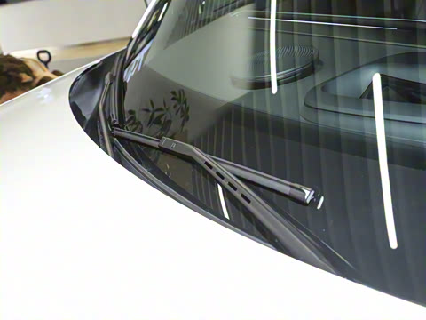 2024�� ������������ ������