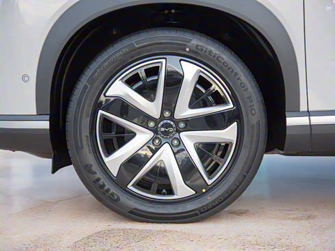 2025�� 135 �����ܼ����״��