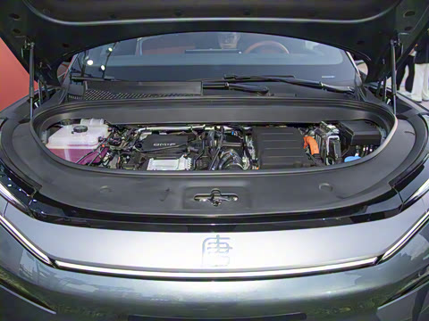 2025�� DM 175KM���˻���Ұ�