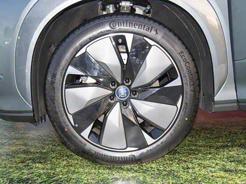 2025�� DM 175KM���˻���Ұ�