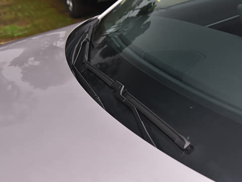 2025�� ��������� 515�����