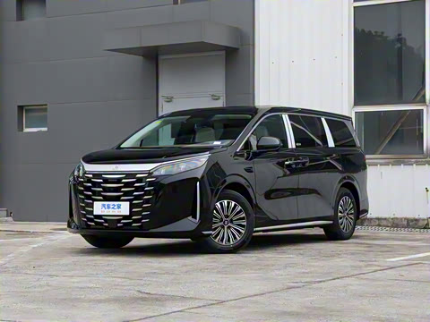 2025�� DM-i 1.5T 100km ��Խ��