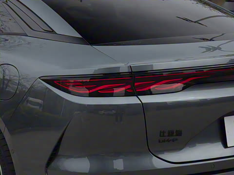 2025�� DM-p ���������״��콢��