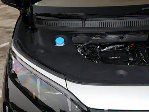 2025�� DM-i 1.5T 100km ��Խ��