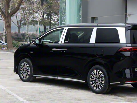 2025�� DM-i 1.5T 100km ��Խ��