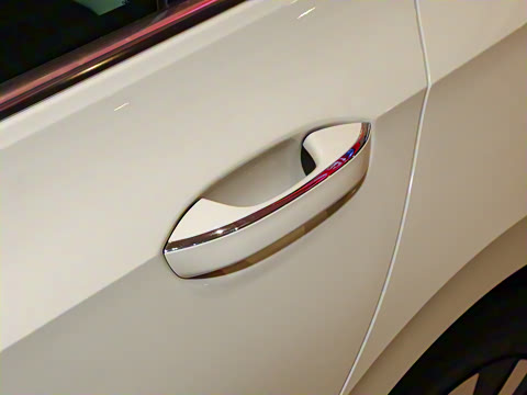 2025�� 300TSI Pro