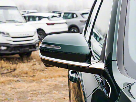 2025�� ������ 2.0TD �Զ��񳯰�