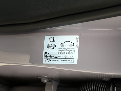 2025�� ;�� Pro 450TSI �����ݺ��