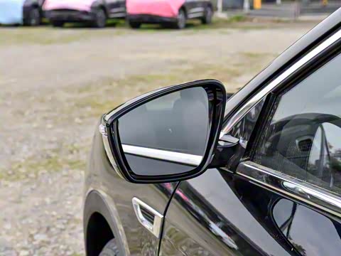 2024�� �ھ��� 1.5T �ֶ��ھ� 5��