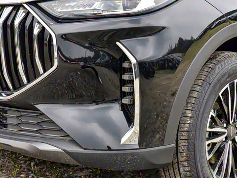 2024�� �ھ��� 1.5T �ֶ��ھ� 5��